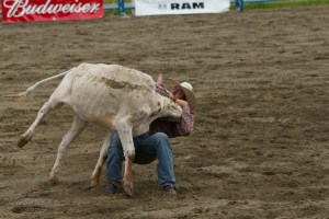 Rodeo-290